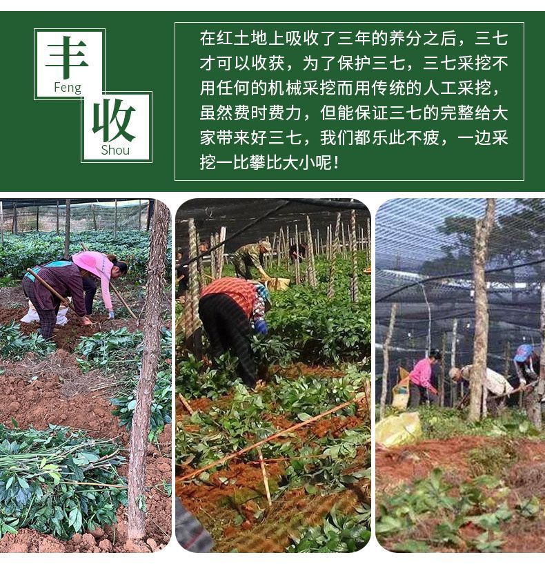 三七详情页13.jpg