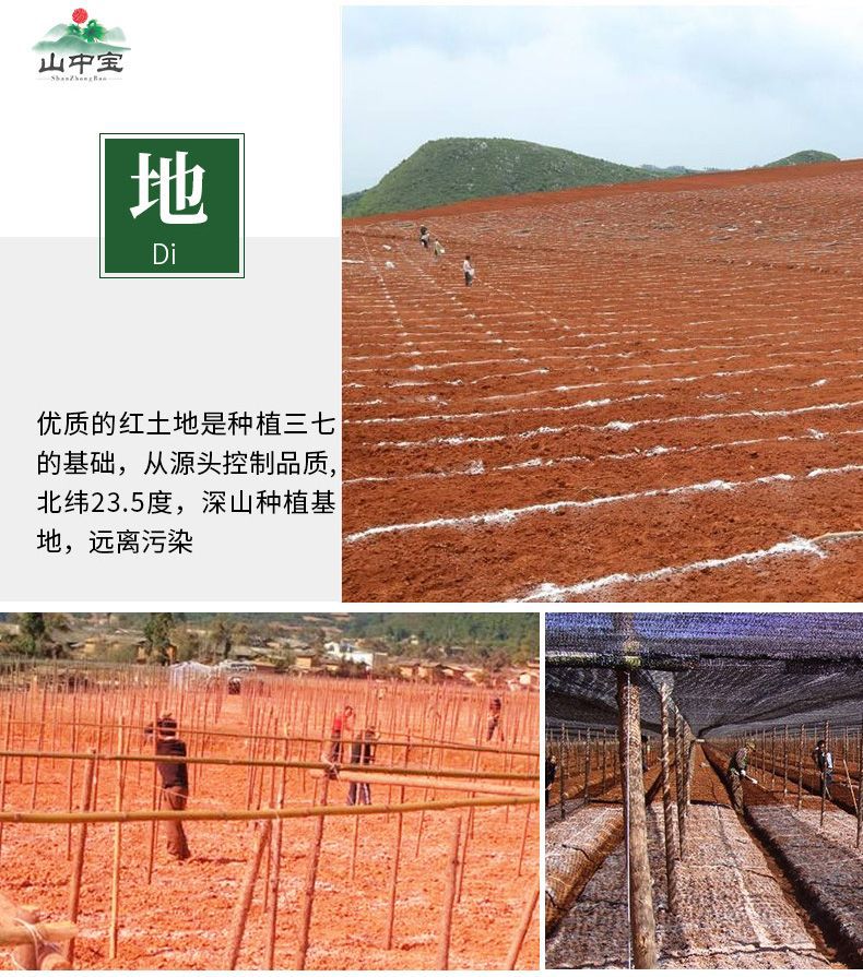 三七详情页11.jpg