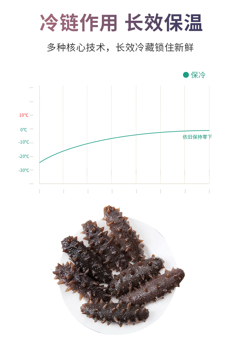 保温箱-海参_05