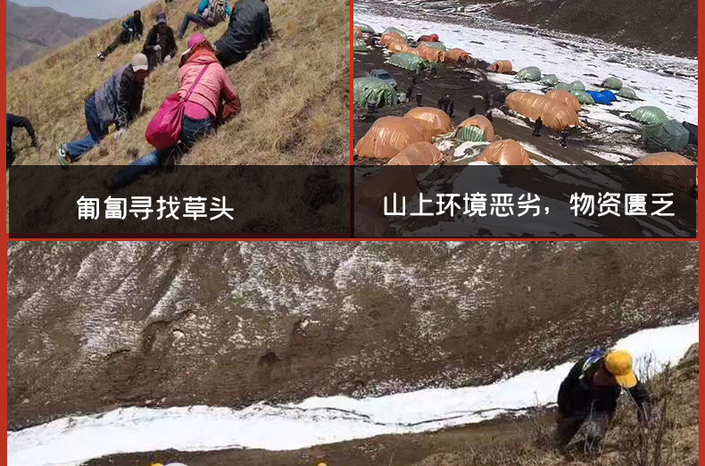 详情图3_10