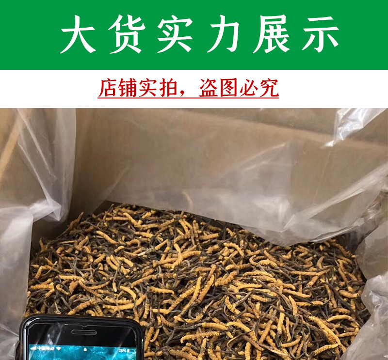 未标题-1_01