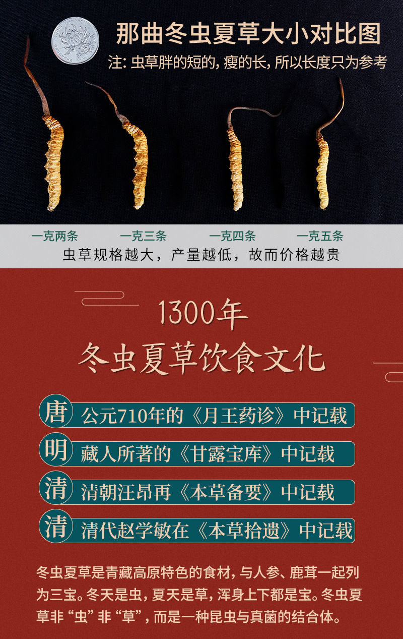 2020_12_01虫草_燕_06.jpg