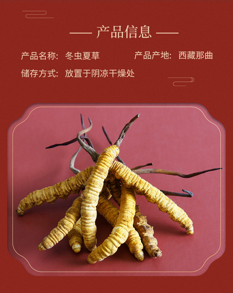 2020_12_01虫草_燕_02.jpg