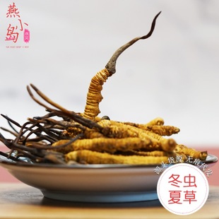 西藏那曲冬虫夏草干批发 一手虫草规格齐全可接礼品礼盒定制代发