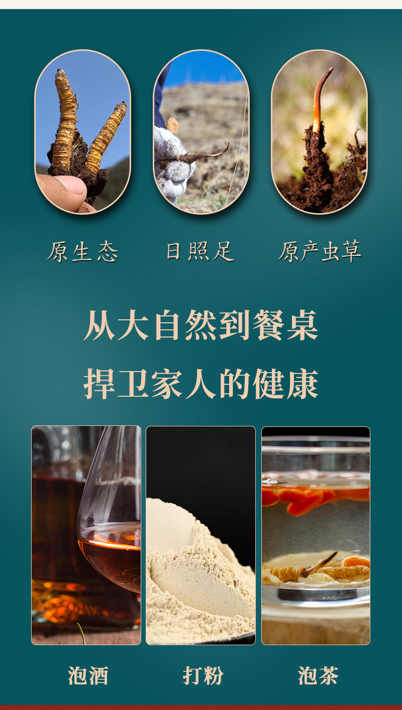2020_12_01虫草_燕_09.jpg