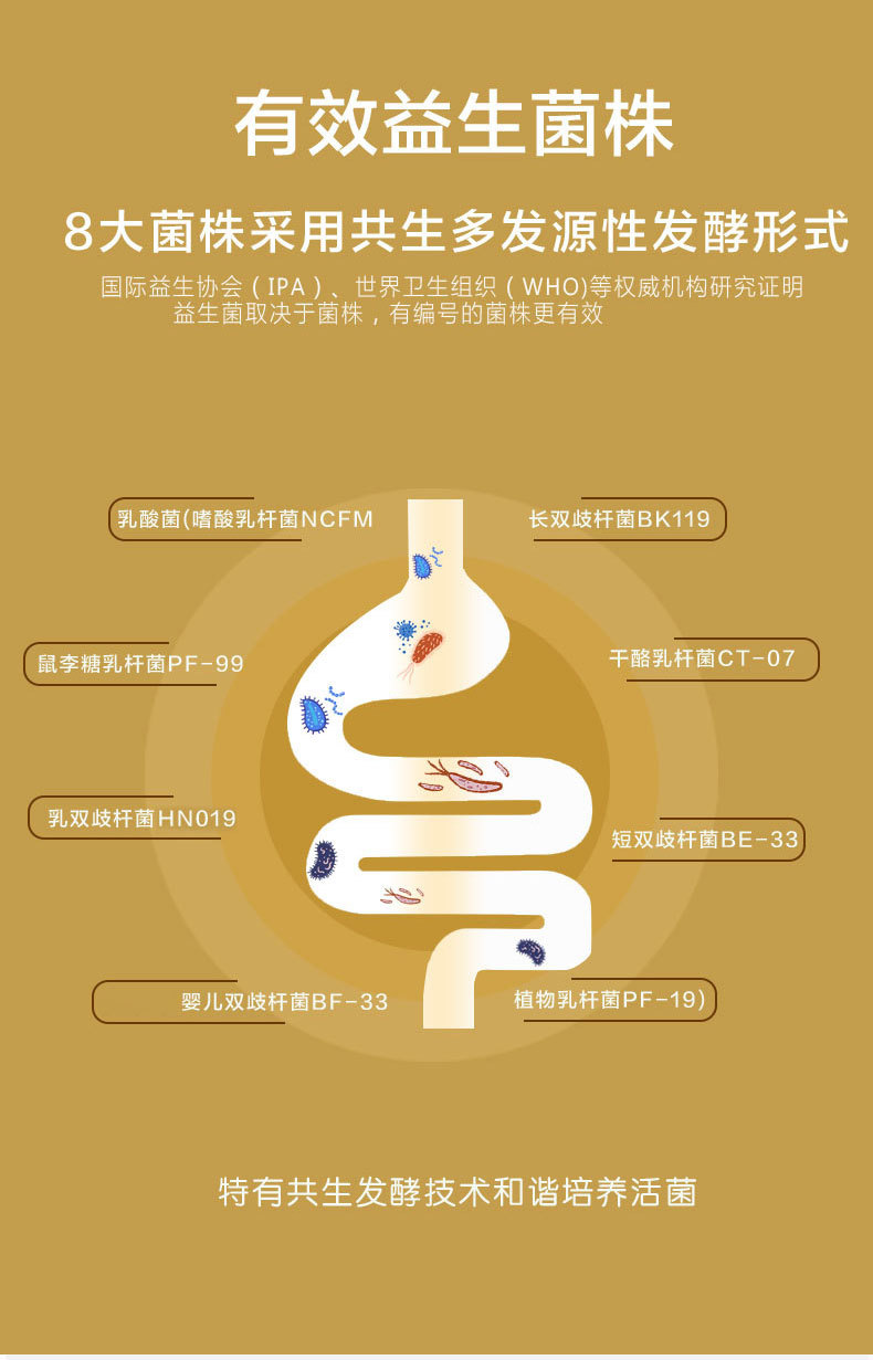 雀蜂益生菌详情_01_03.jpg