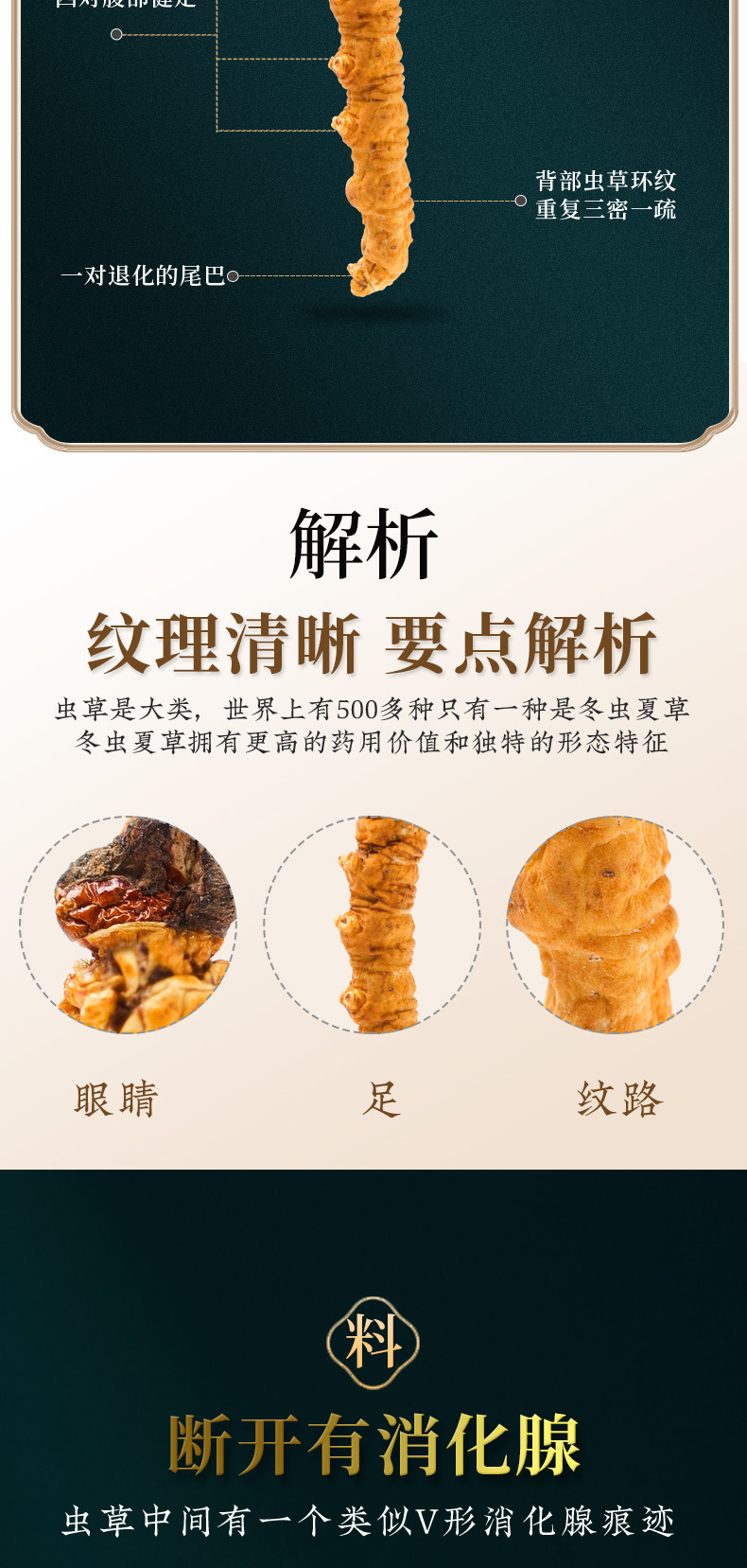 详情页设计定稿_13