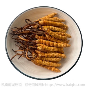西藏那曲冬虫夏草冻干虫草2000条3000条4000条虫草批发足干无断草