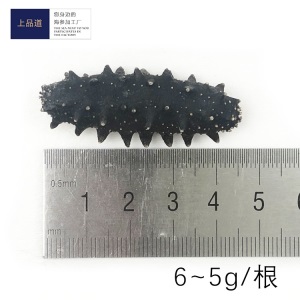 【海参工厂】大连淡干海参即食干货干海参礼盒批发一件代发50g