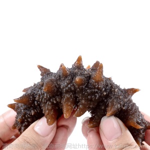 辽渤湾大连即食海参工厂批发冷冻辽刺参海鲜礼盒非海生干货顺丰邮