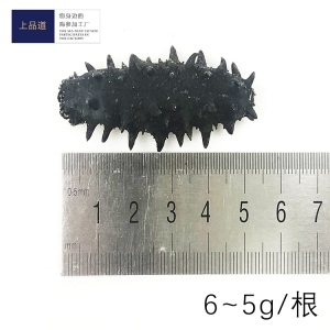 【海参工厂】大连淡干海参即食干货干海参礼盒批发一件代发50g