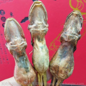 吉林长白山林蛙干  东北特产雪蛤干 雪蛤油批发泡发率高 一件代发