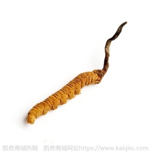 2020新货1克3-5根冬虫夏草四川甘孜虫草 非西藏那曲 虫草现货批发