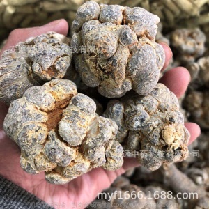 工厂徽信远文山三七田七20头水洗三七10头三七王水洗量大价格优惠