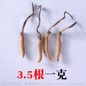 祁凤堂西藏那曲冬虫夏草源头货冬虫夏草礼盒装那曲无断虫草