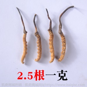 祁凤堂西藏那曲冬虫夏草源头货冬虫夏草礼盒装那曲无断虫草