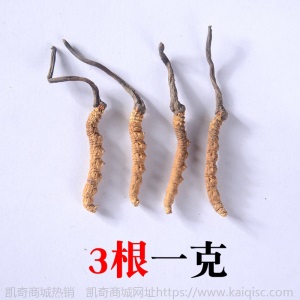 祁凤堂西藏那曲冬虫夏草源头货冬虫夏草礼盒装那曲无断虫草