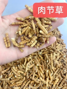 祁凤堂西藏那曲冬虫夏草源头货冬虫夏草礼盒装那曲无断虫草