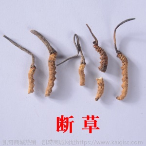 祁凤堂西藏那曲冬虫夏草源头货冬虫夏草礼盒装那曲无断虫草