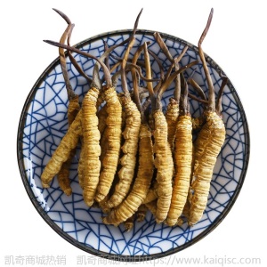 西藏那曲冬虫夏草干批发 一手虫草规格齐全可接礼品礼盒定制代发