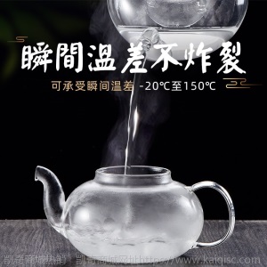 可加热玻璃茶壶耐高温加厚过滤泡茶壶家用功夫水果花茶壶茶具套装