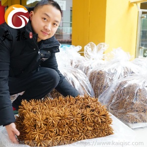 西藏冬虫夏草4000条  多规格综合接链 单品10克起售
