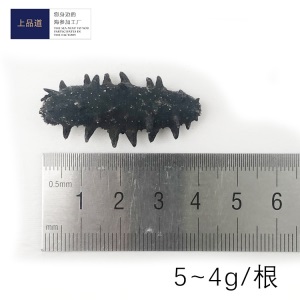 【海参工厂】大连淡干海参即食干货干海参礼盒批发一件代发50g