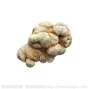 云南文山三七60头50头40头30头20头产地批发