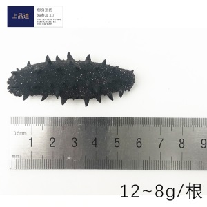 【海参工厂】大连淡干海参即食干货干海参礼盒批发一件代发50g