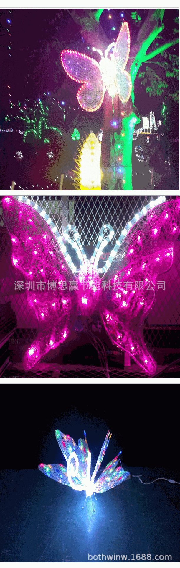 蝴蝶_04.gif