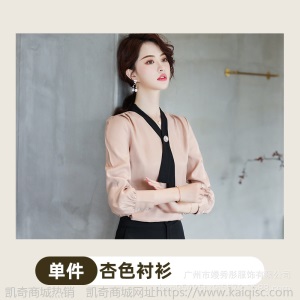 职业衬衫女长袖2019春秋新款白色衬衣韩版长袖正装V领工作服夏季