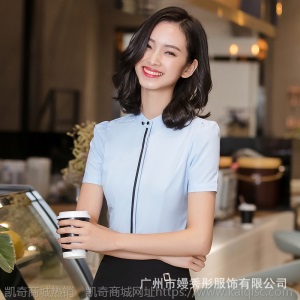 职业衬衫女短袖2019夏季新款OL气质正装工作服衬衣 厂家直销 8801