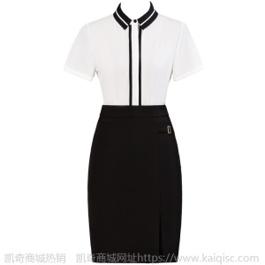 职业装衬衫女OL气质韩版2019夏季新款修身显瘦短袖衬衣正装  8809