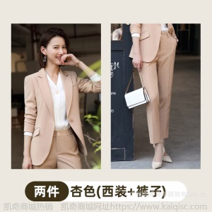 职业装女套装春秋季2019新款ol气质白领西装套装裙正装工作服批发