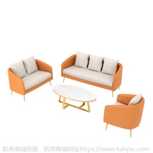 北欧轻奢皮艺沙发家用小户型客厅会客沙发办公区售楼部接待沙发