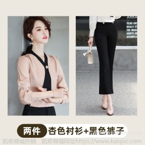 职业衬衫女长袖2019春秋新款白色衬衣韩版长袖正装V领工作服夏季