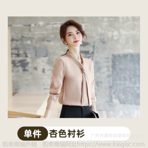 纯职2019春秋季新款衬衫女长袖工装韩版修身长袖工作服衬衣职业装