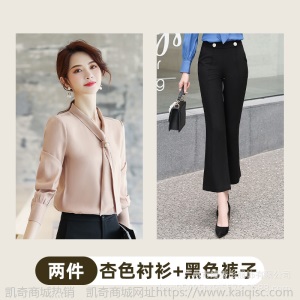 纯职2019春秋季新款衬衫女长袖工装韩版修身长袖工作服衬衣职业装