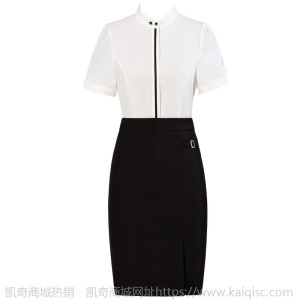 职业衬衫女短袖2019夏季新款OL气质正装工作服衬衣 厂家直销 8801