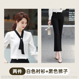 职业衬衫女长袖2019春秋新款白色衬衣韩版长袖正装V领工作服夏季