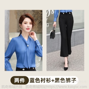 纯职2019春秋季新款衬衫女长袖工装韩版修身长袖工作服衬衣职业装