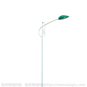 led户外灯 夜间照明节能路灯 篮球场亮化灯 安装定制工程款