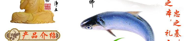 描述_02.jpg