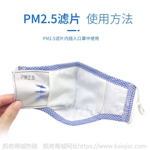 口罩插片 PM2.5过滤片防雾霾防尘活性炭Mask 五层口罩滤芯含熔喷