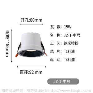 led筒灯PHILIPIS正品驱动原厂灯珠无主灯照明设计防眩光COB射灯