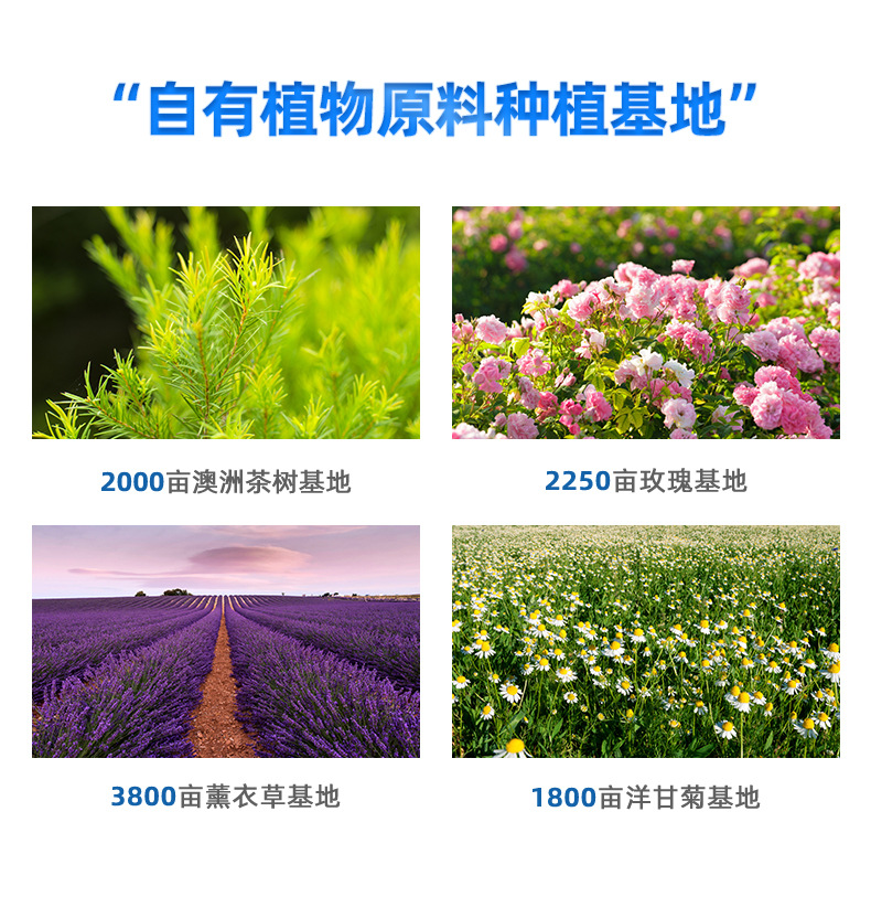 茶树套盒详情页-恢复的_02.jpg