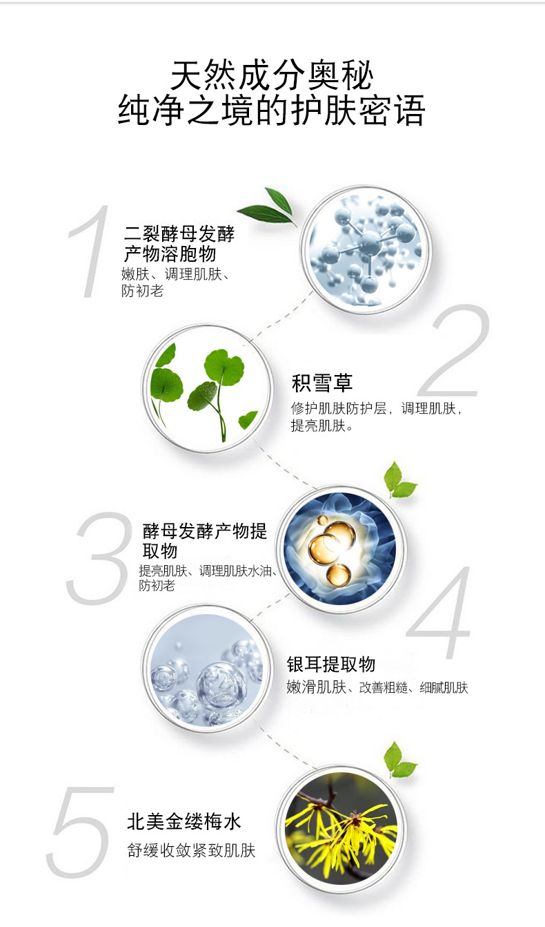 二裂酵母水-新_11