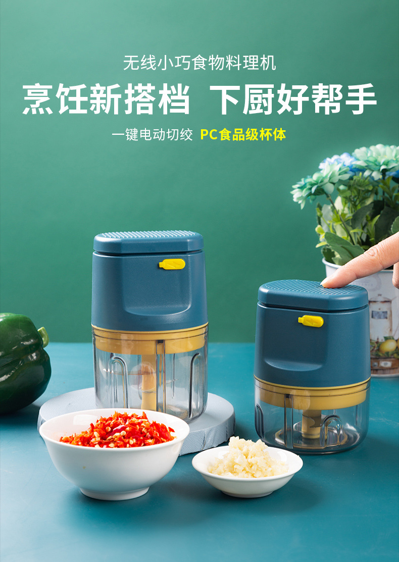 电动蒜泥器 (1)