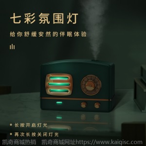 萌宠复古加湿器文艺风网红小型超声波大雾量加湿器家用办公静音