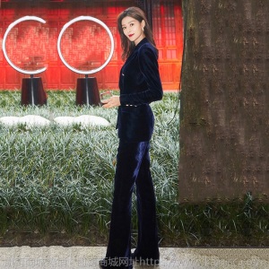 明星同款2020秋冬新款金丝绒西装套装女时尚气质显瘦小西服两件套